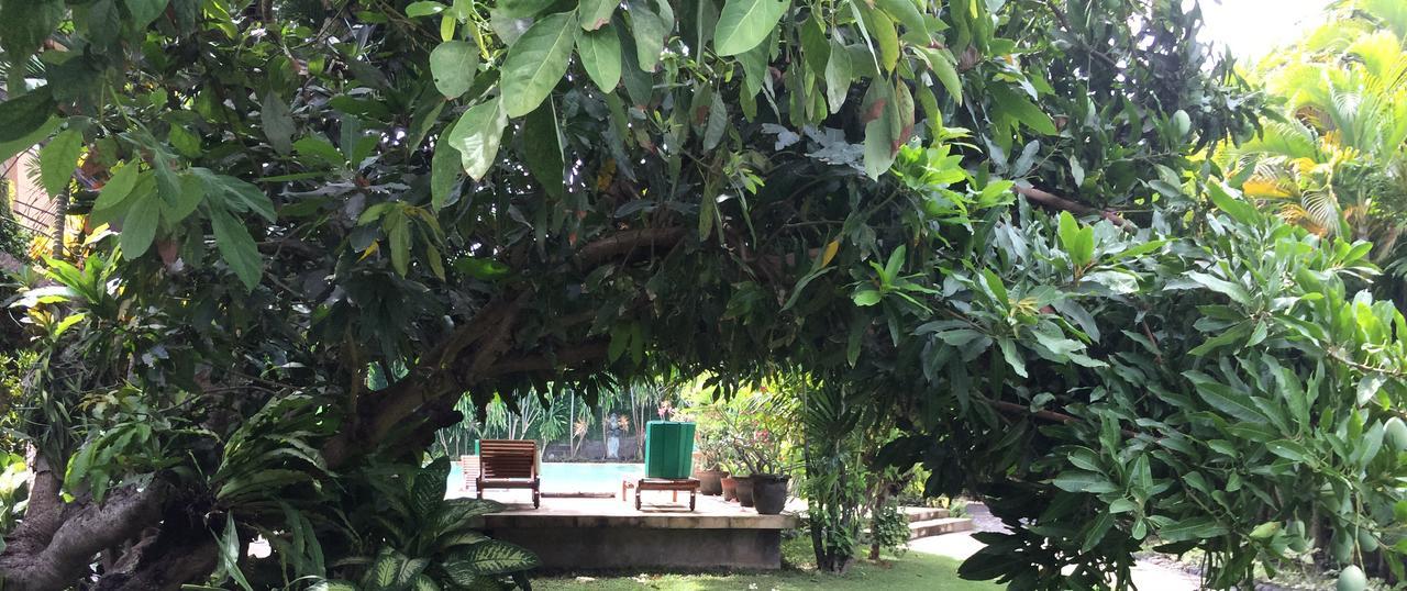 Raja Gardens Hotel Seminyak  Bagian luar foto